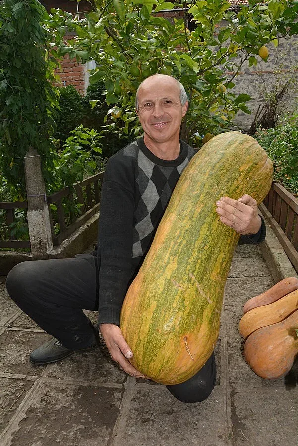 Тиква с ръст на четири годишно стана атракция в димитровградско село