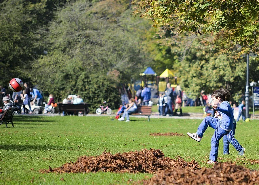 Седмицата започва с хубаво време