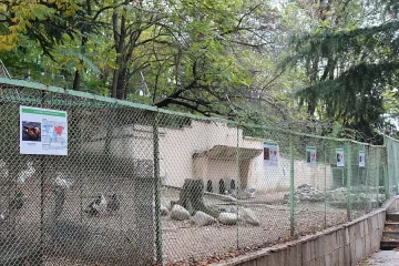 Обновяват благоевградския зоопарк догодина