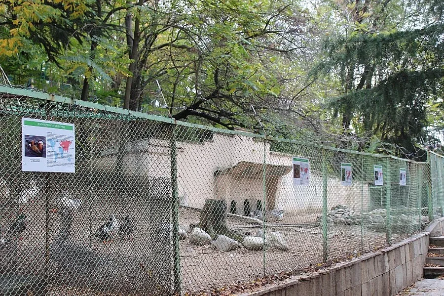 Обновяват благоевградския зоопарк догодина