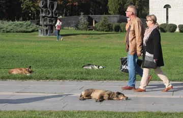 Слънчево време в началото на седмицата 