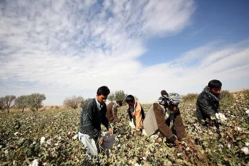 Земята поевтиня до 35% за година