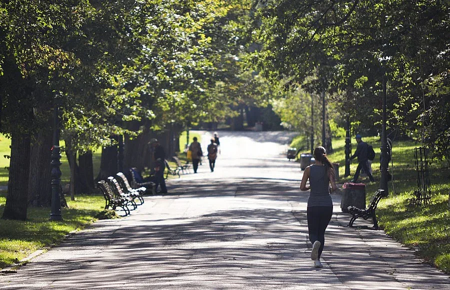 Слънчева събота