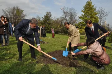 Япония подари на Хасково градина със сакура