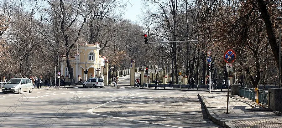 Организират благотворителен крос в подкрепа на деца от Мизия