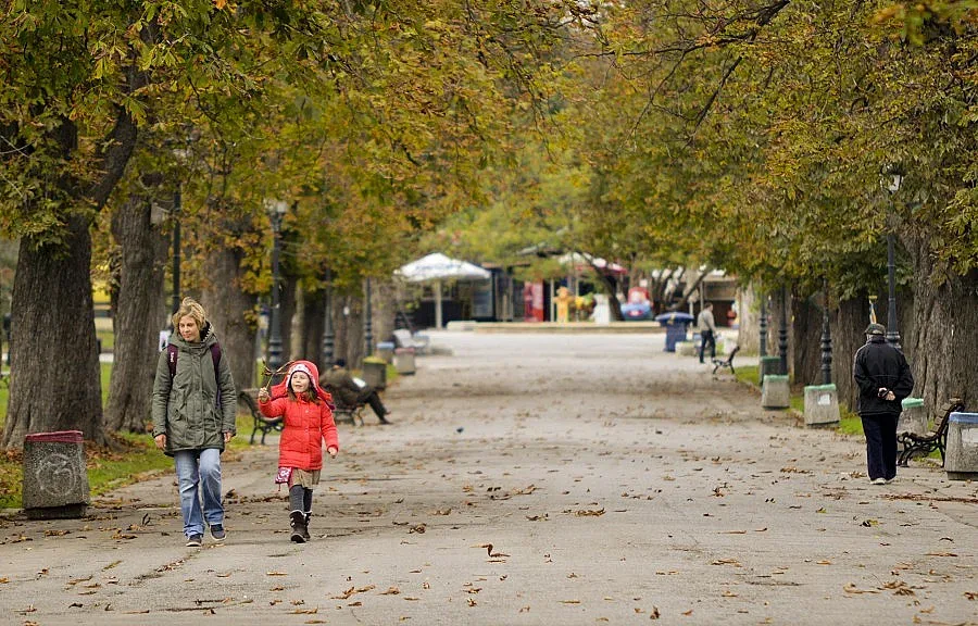 Мъгла и дъжд в четвъртък 