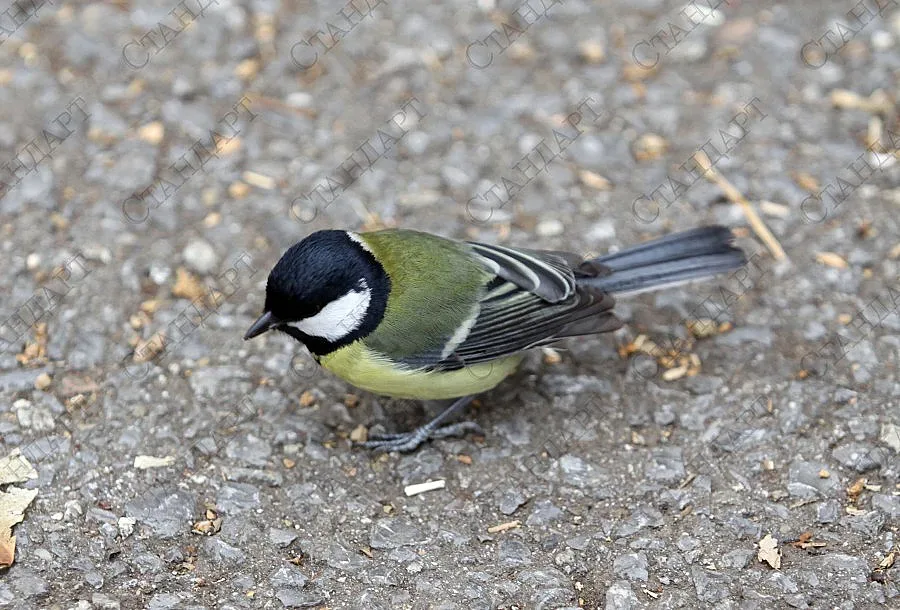 Облачно и в сряда