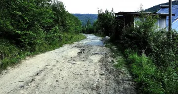 Асфалтират само най-разрушения участък на пътя за мечия парк 