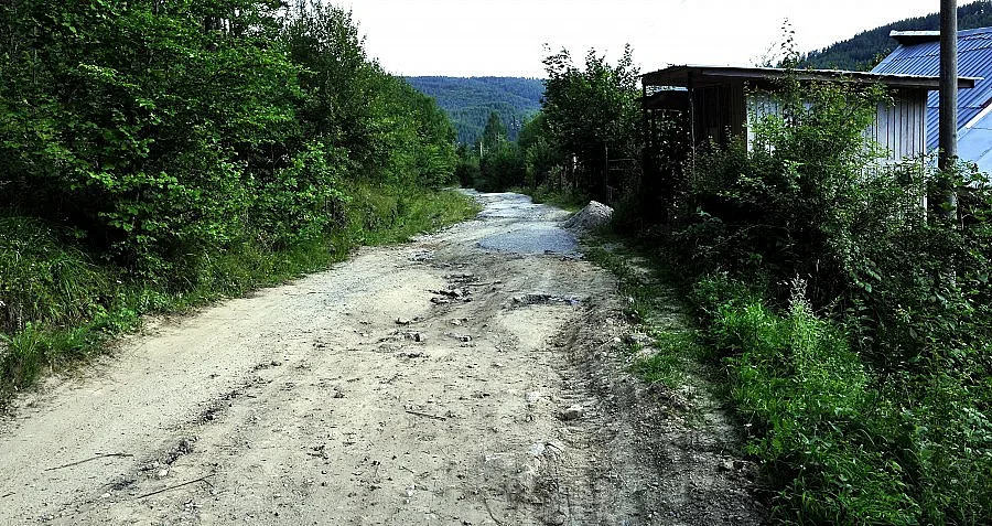 Асфалтират само най-разрушения участък на пътя за мечия парк