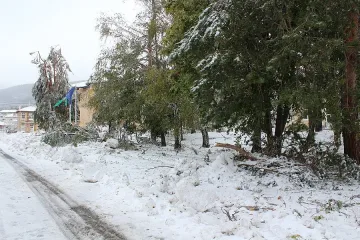 Спасиха бедстващи туристи от Бузлуджа