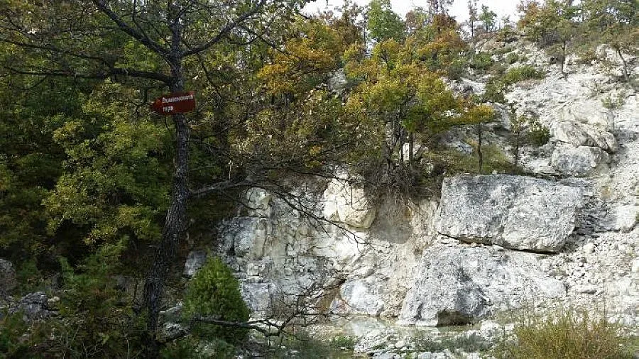 Живописна екопътека отвежда туристите до Вкаменената гора
