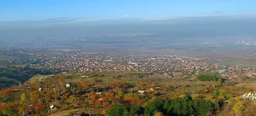 Рейс се блъсна в спирка, рани жена