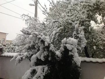 Троян, Самоков и части от София са без ток