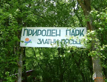 Правят еколагер в бившо поделение на ВВС