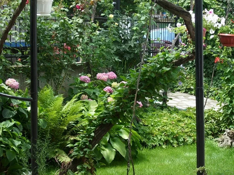 Баба изкопа в двора 32 капсул-детонатора