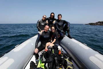 Сезонът на дайвинга 