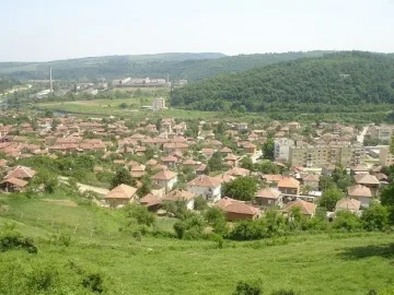 Ужасяващо убийство на баба в Брестница