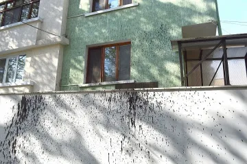 Заляха с черна боя къщата на видинския кмет