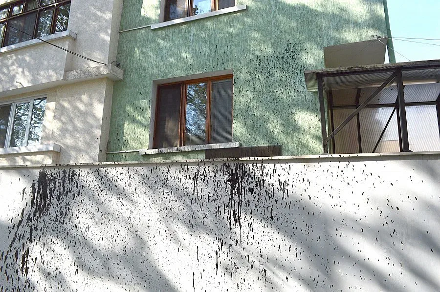 Заляха с черна боя къщата на видинския кмет