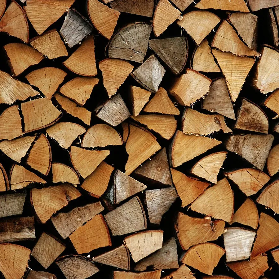 Даряват дърва за огрев на пострадалите от наводненията в Северозападна България