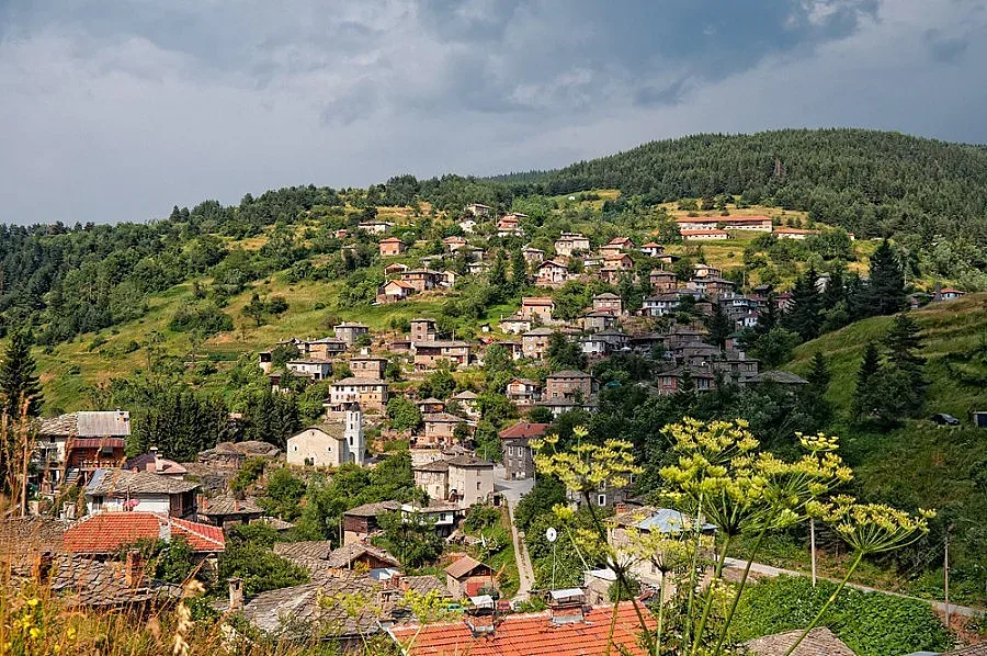 Иманяри търсят съкровище в Ситово