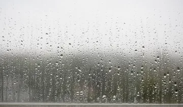 До 45% отстъпка от "Алианц" за имуществени застраховки