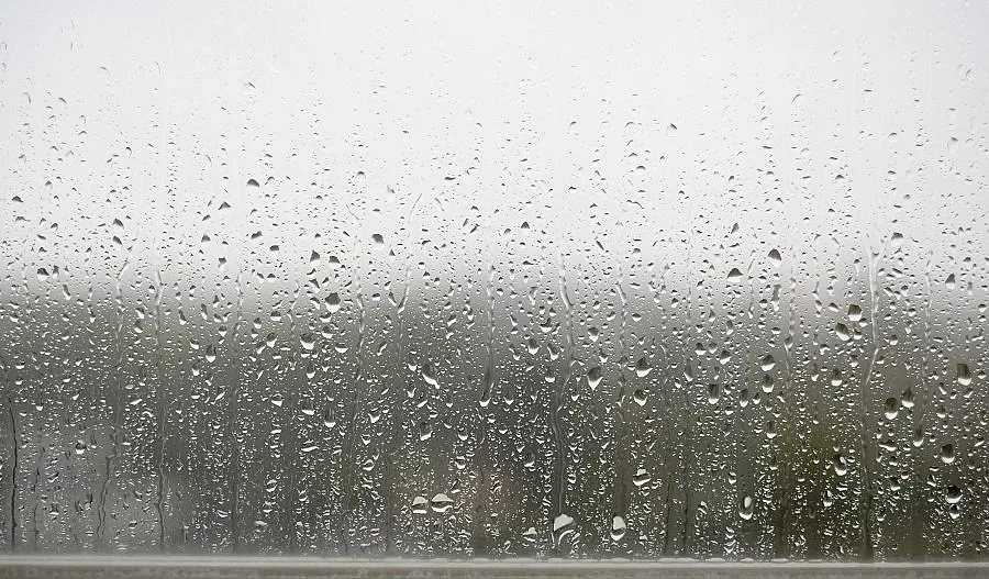 До 45% отстъпка от "Алианц" за имуществени застраховки