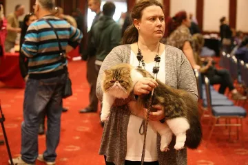 Мъркащо бентли за хилядарка