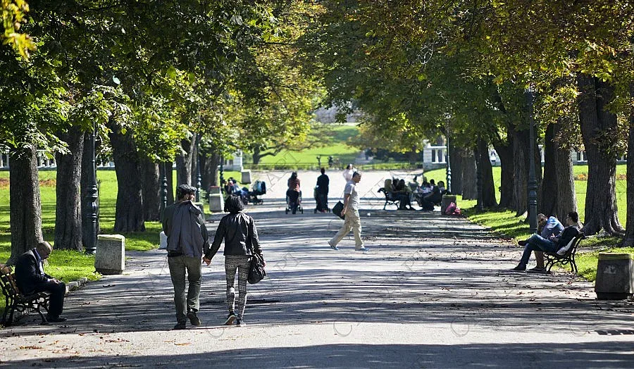 По-ниски температури и вятър в събота