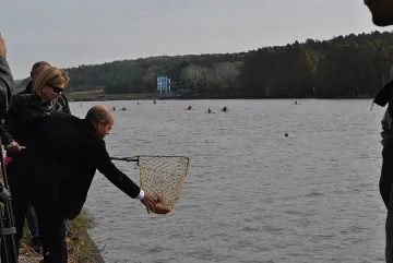 Розов японски шаран в езеро край Русе