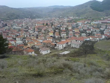 „Американци” помагат с пари на родното село Кочан