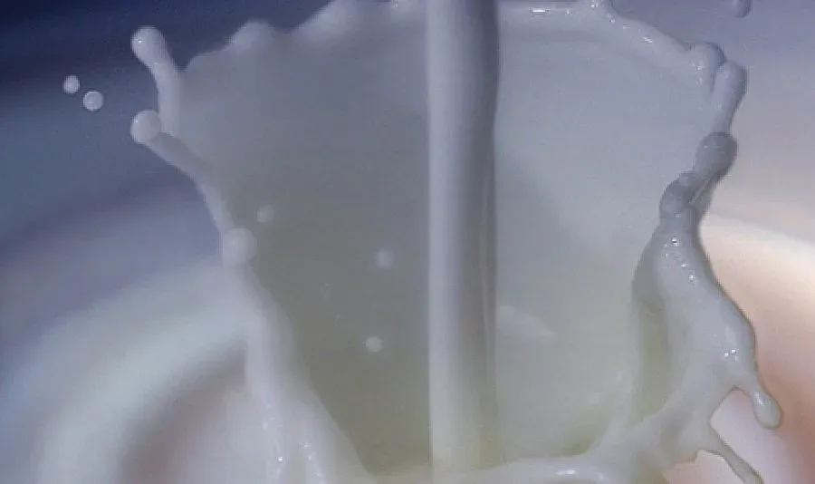 Не откриха виновници за отровата в асеновградската детска градина