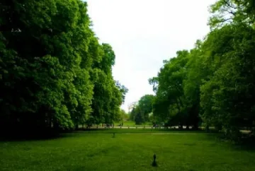 Новите избраници на въздух в Борисовата