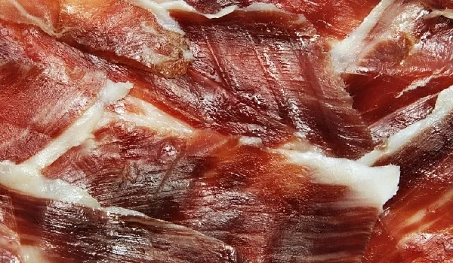 Туристи на лов за еленски бут