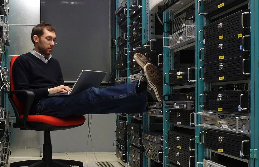 Родни IT спецове и готвачи търсят в ЕС