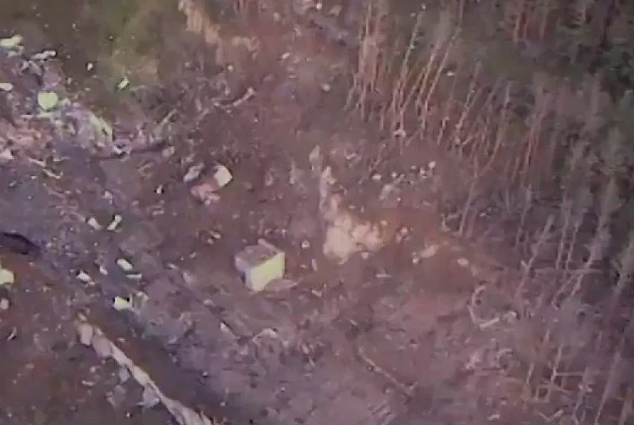 ВИДЕО от безпилотния самолет над Горни Лом