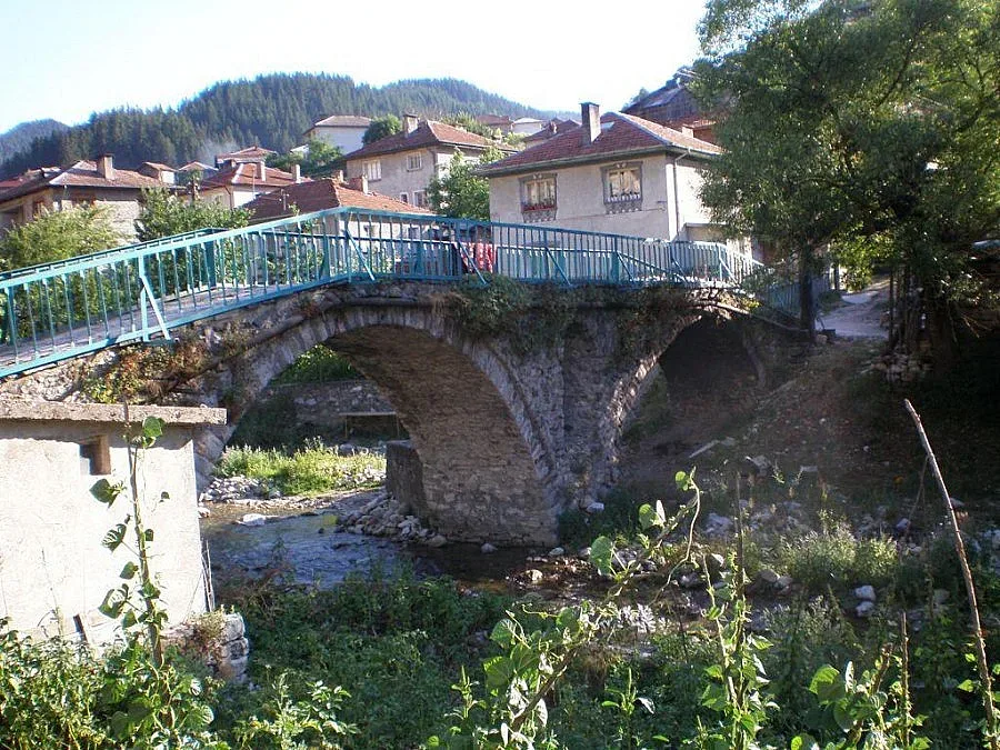 Триград с музей  на пъстървата