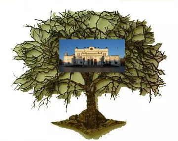 Депутати от сой