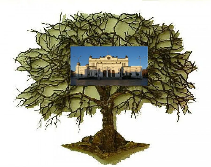 Депутати от сой