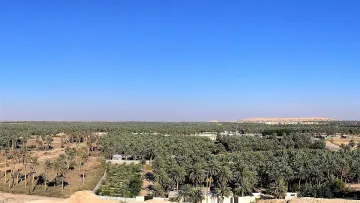 Сензационно откритие! Град на 4000 години