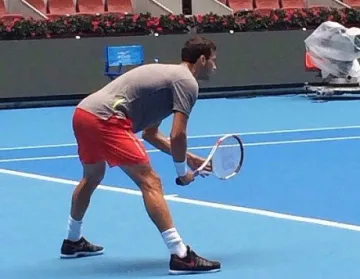 Джокович давал любовни съвети на Гришо