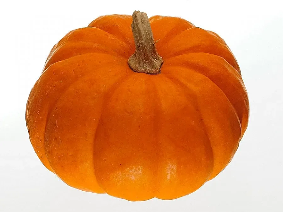 Шекспир и партията на тиквите