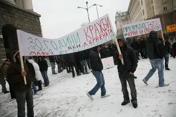 Над 100 млн. лв. носи незаконният дърводобив