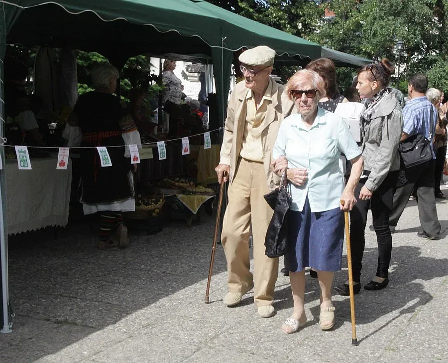 Едва 10% от работещите пенсионери го правят за удоволствие