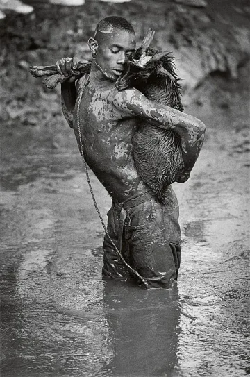 85 уникални снимки в Двореца