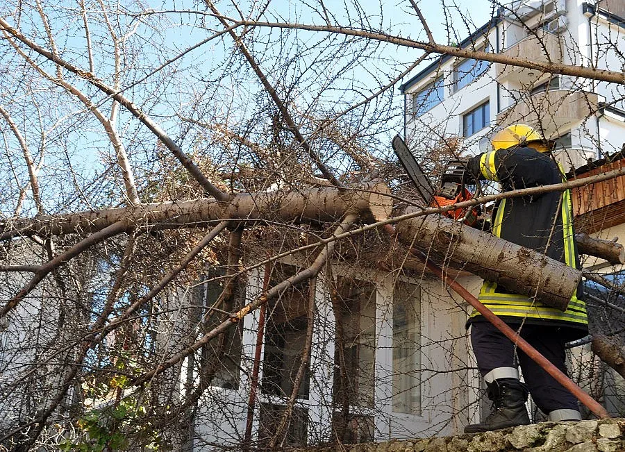 Буреносен вятър повали дървета в Хасково и Кърджали