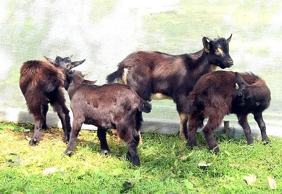 Евроофис откриха в старозагорско село