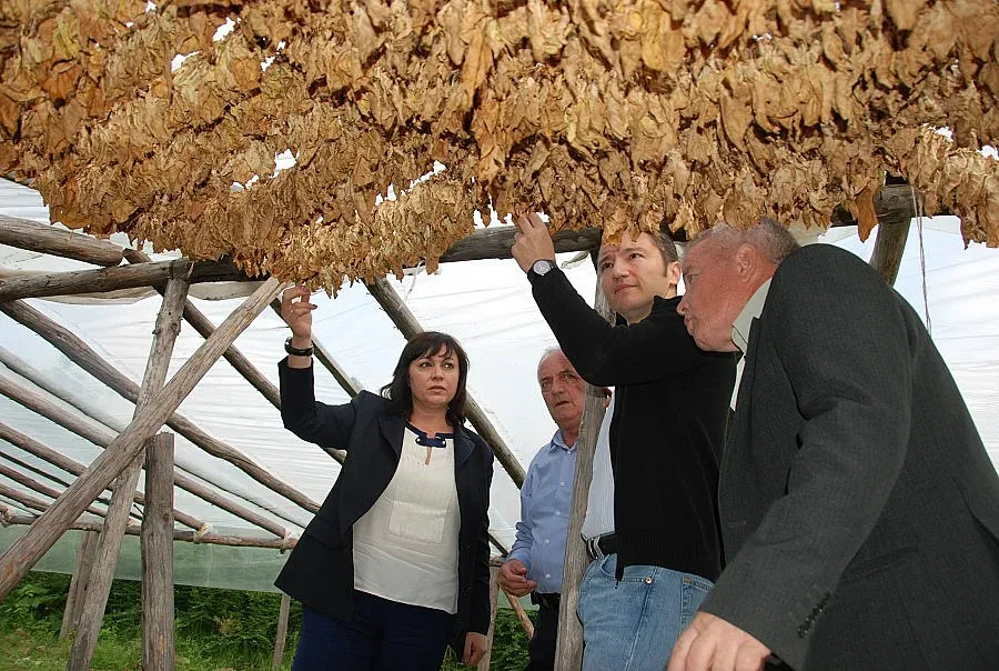 Вигенин обеща държавна подкрепа на тютюнджиите