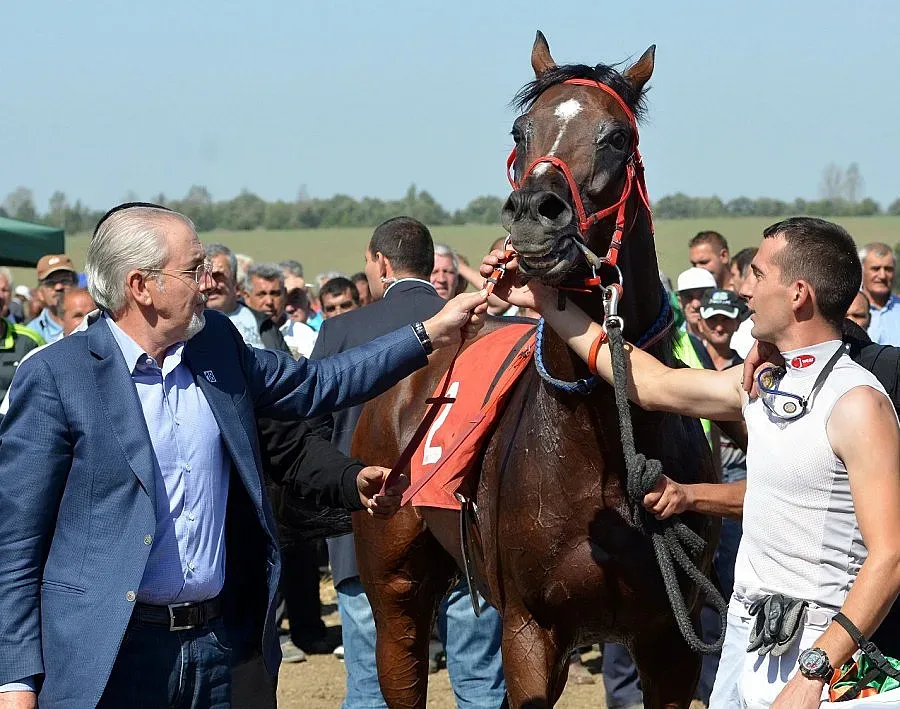 Местан: За празника всеки ще вложи мисъл за бъдещето на България