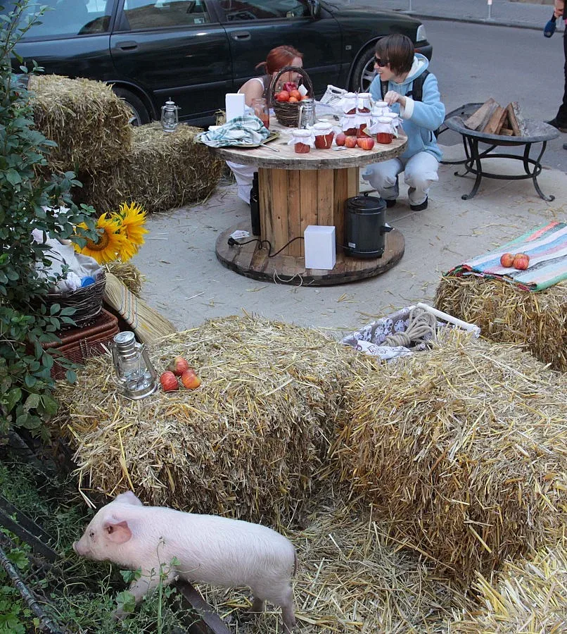 Прасенце спря колите в София